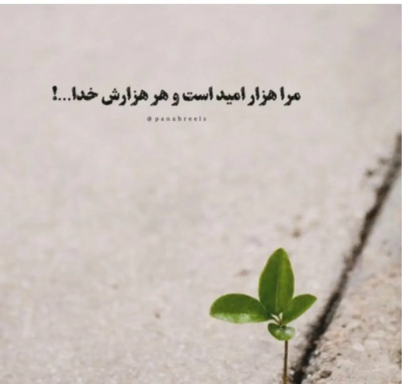 زبان شناسی و امنیت مالی آموزش اسان|خدمات آموزشی|قزوین, |دیوار