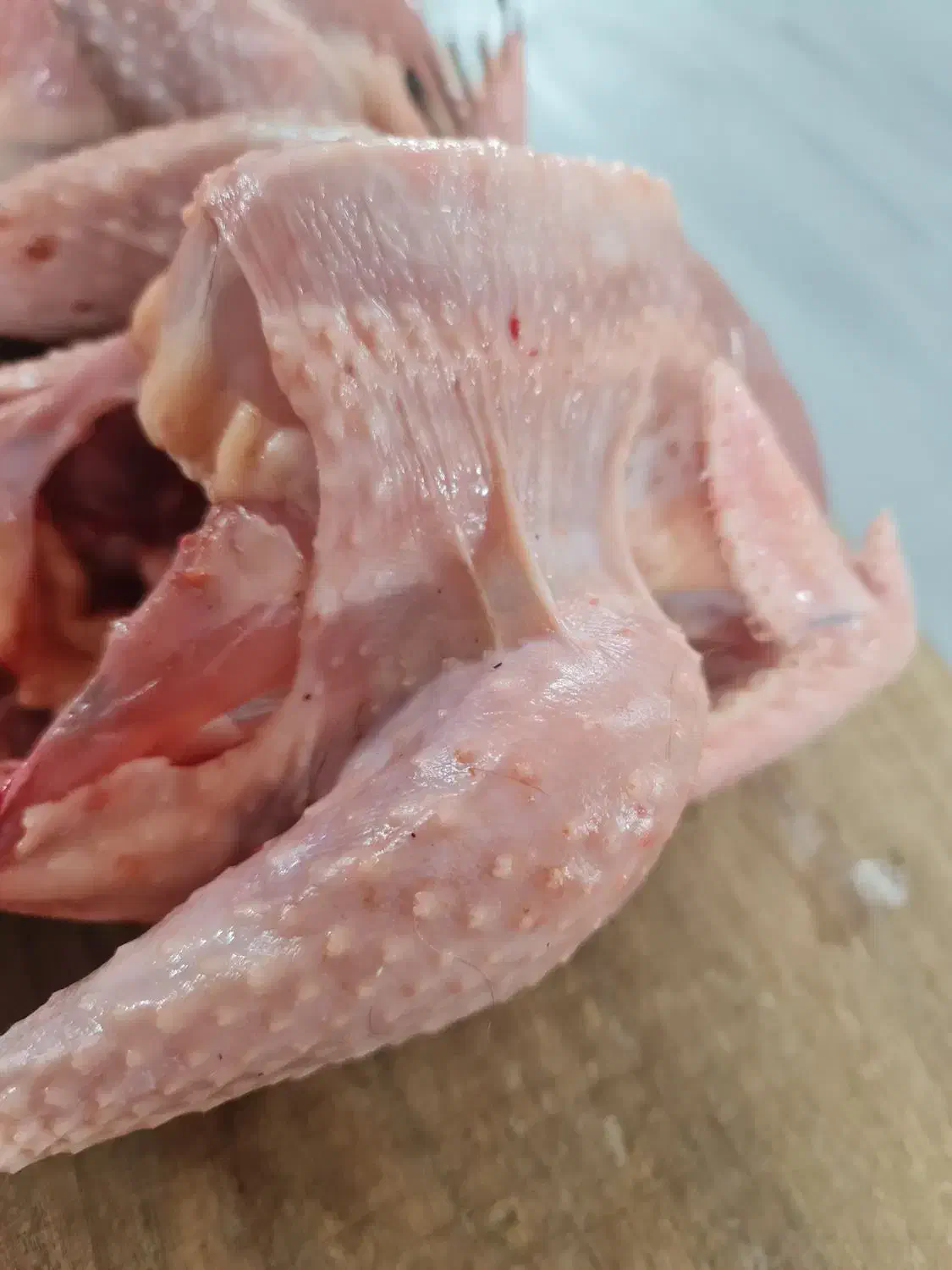 گوشت مرغ خیلی محلی|خوردنی و آشامیدنی|یزد, |دیوار