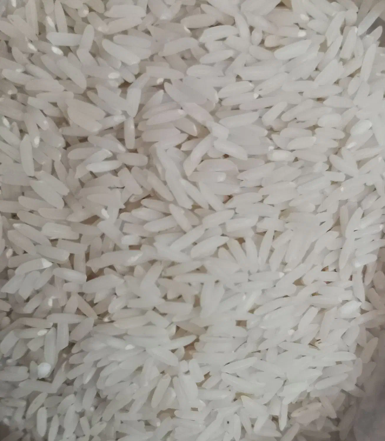 برنج هاشمی درجه ۱|خوردنی و آشامیدنی|کوچصفهان, |دیوار