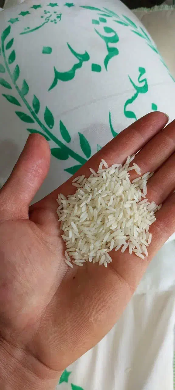 برنج کامفیروزی|خوردنی و آشامیدنی|شیراز, دروازه قران|دیوار