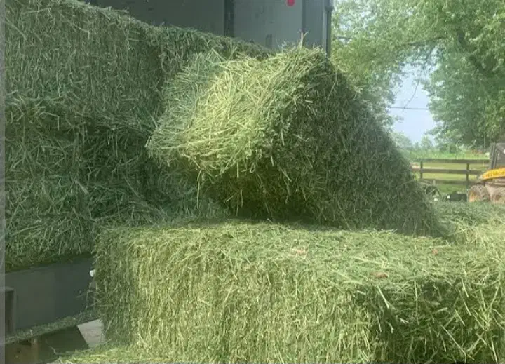 یونجه سومار|لوازم جانبی حیوانات|ایوان, |دیوار