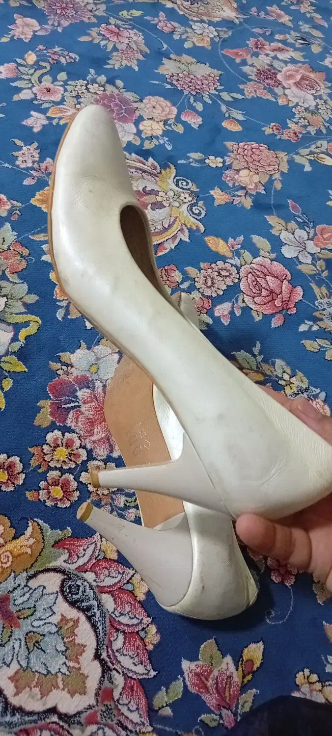 کفش پاشنه بلند|کیف، کفش، کمربند|جوانرود, |دیوار