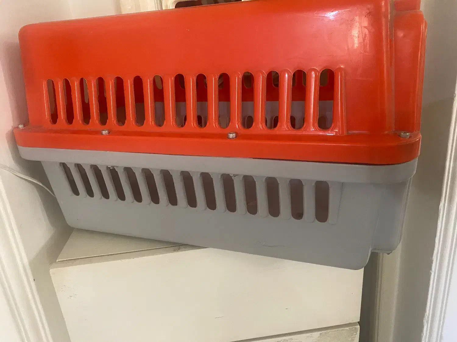 باکس سگ و گربه|لوازم جانبی حیوانات|آمل, |دیوار