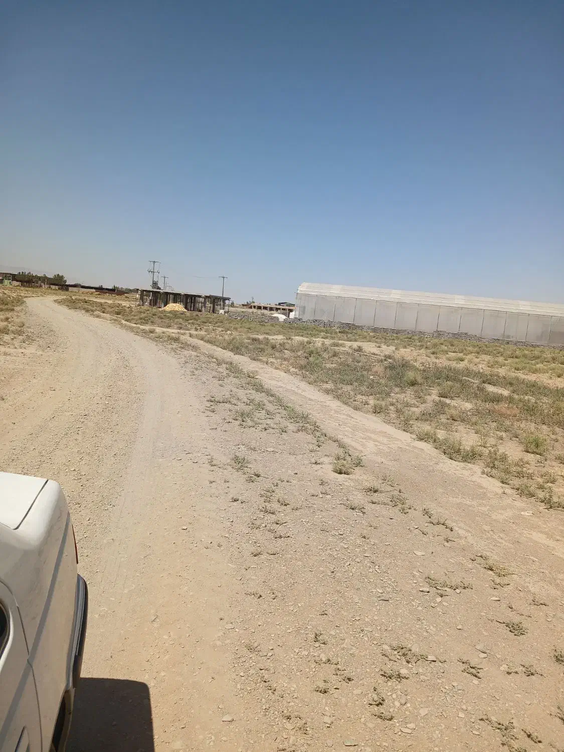 زمین گلخانه ای اماده احداث در شهرستان جعفریه|فروش دفتر صنعتی، کشاورزی، تجاری|قم, دانش|دیوار