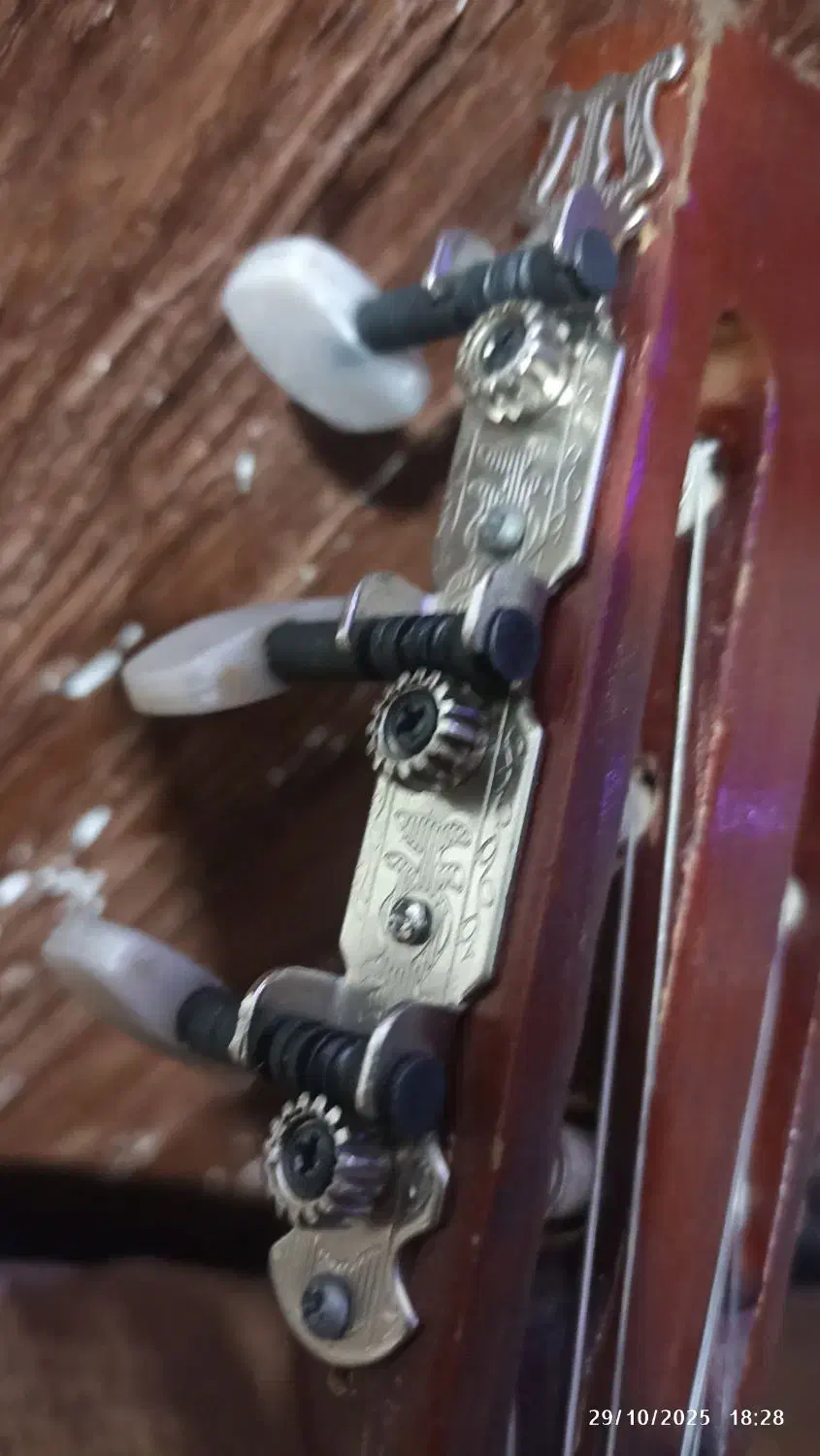 گیتار کلاسیک وینتیج|گیتار، بیس، امپلیفایر|کرج, شهرک بنفشه|دیوار