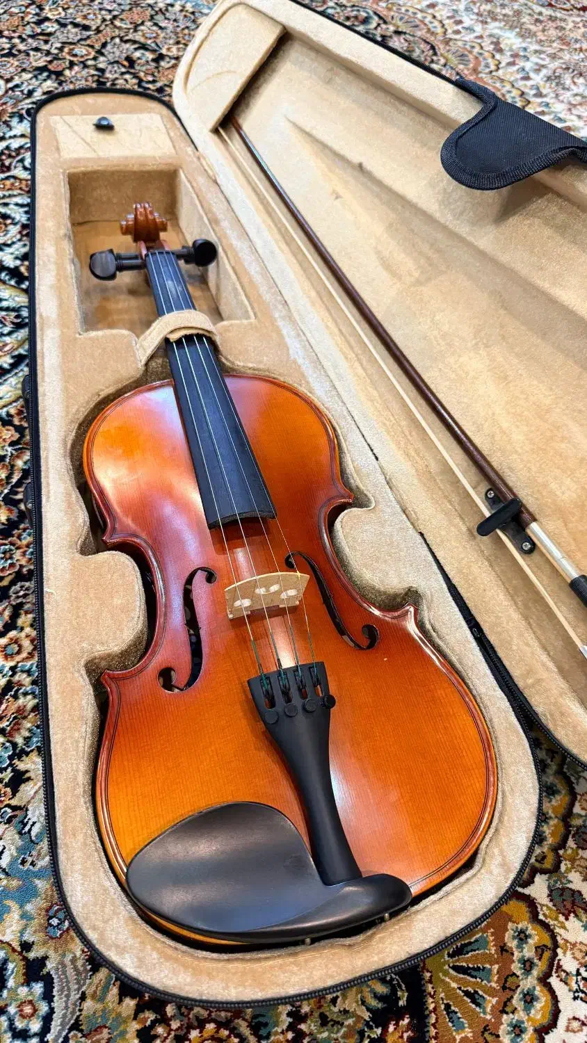 ویولن مبتدی|ویولن|بوشهر, |دیوار