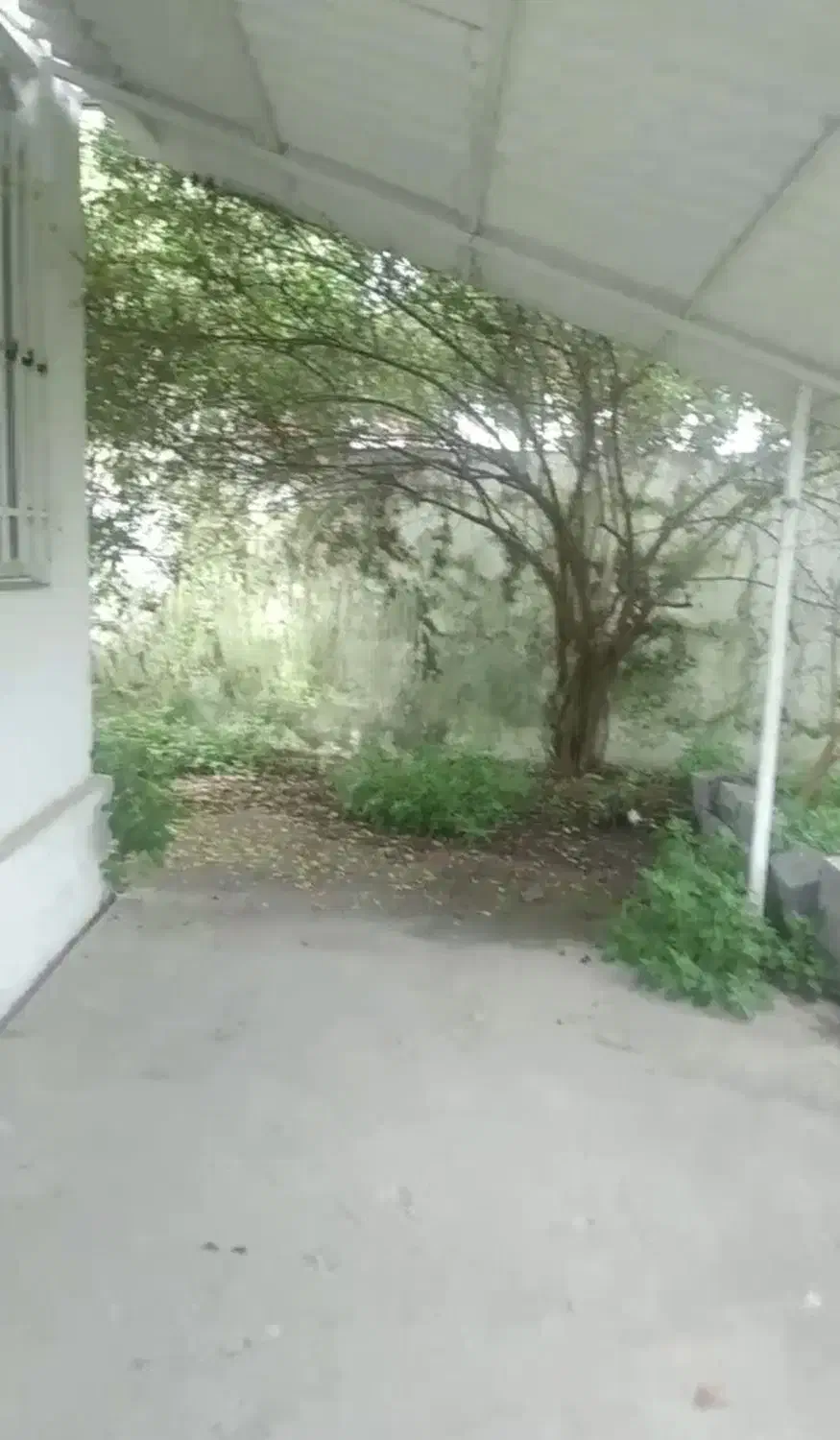 فروش یا معاوضه ملک در فرج آباد چالوس|فروش خانه و ویلا|چالوس, |دیوار