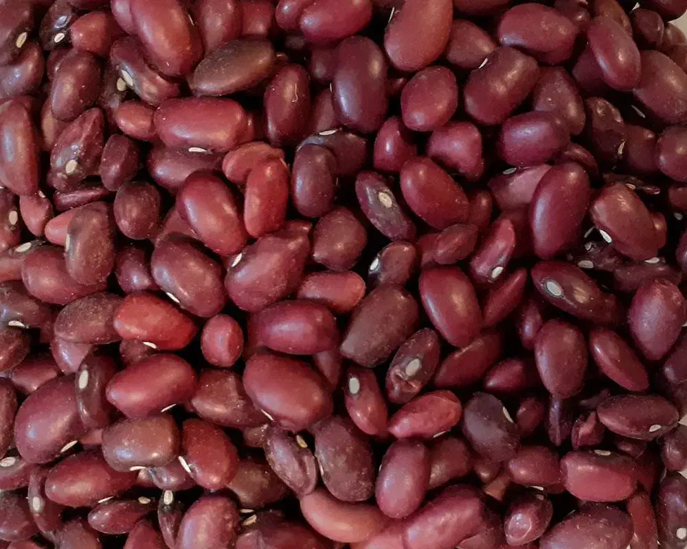 سی کیلو لوبیا قرمز|خوردنی و آشامیدنی|دهگلان, |دیوار