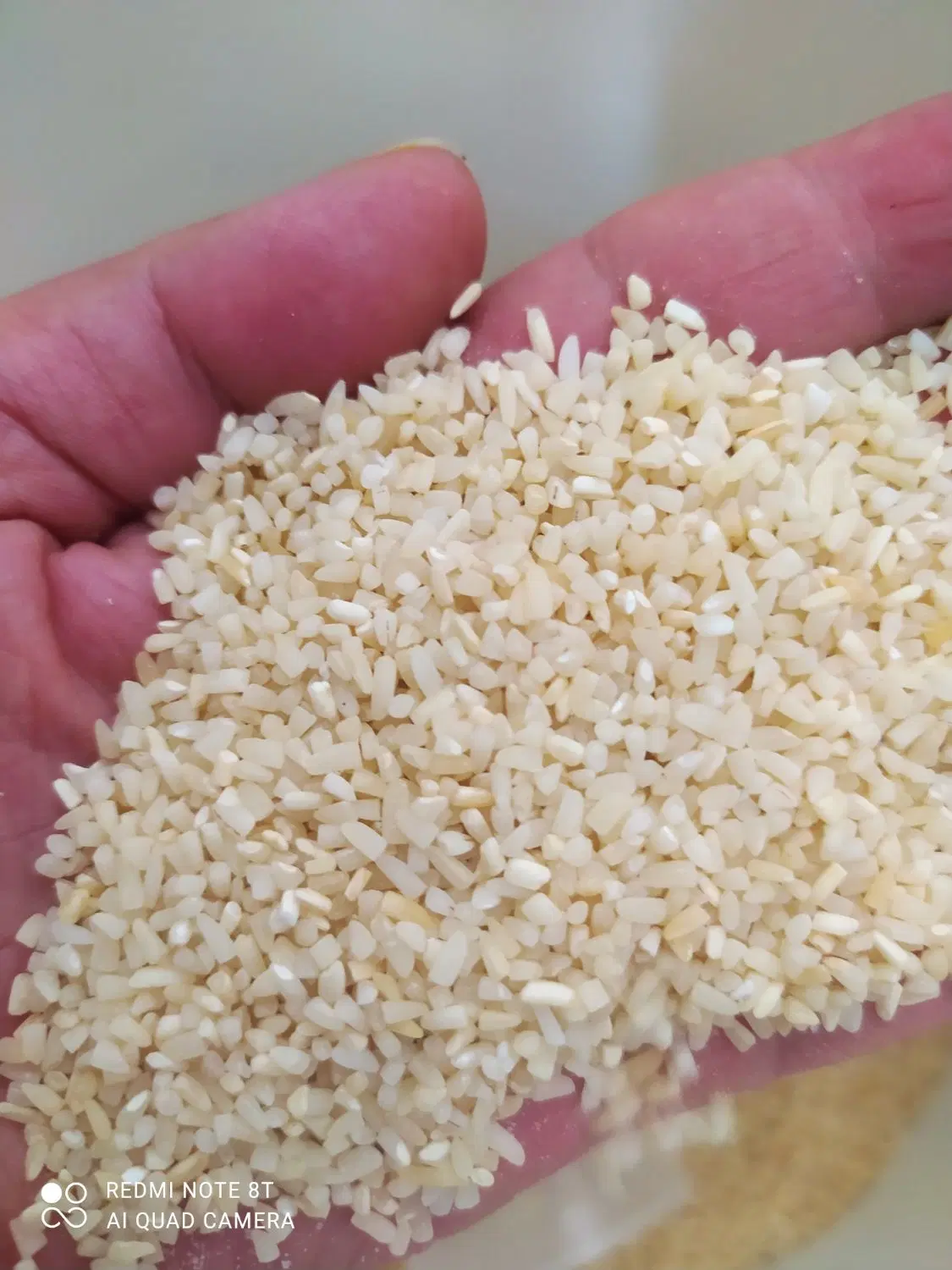 برنج|خوردنی و آشامیدنی|خرمدره, |دیوار