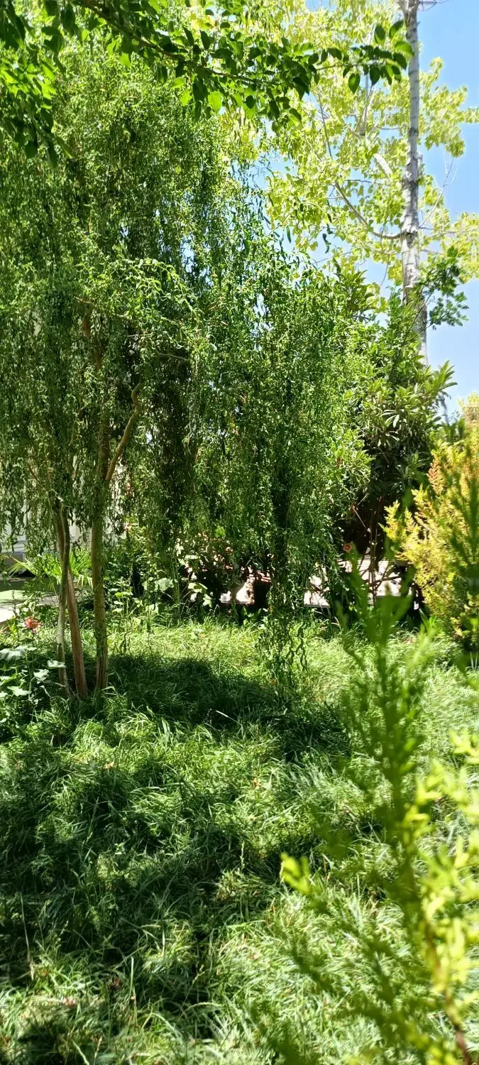 ویلا اجاره ای در ویلا شهر کیمیا دشتکوه|اجارهٔ کوتاه‌مدت ویلا و باغ|شیراز, حومه شیراز|دیوار