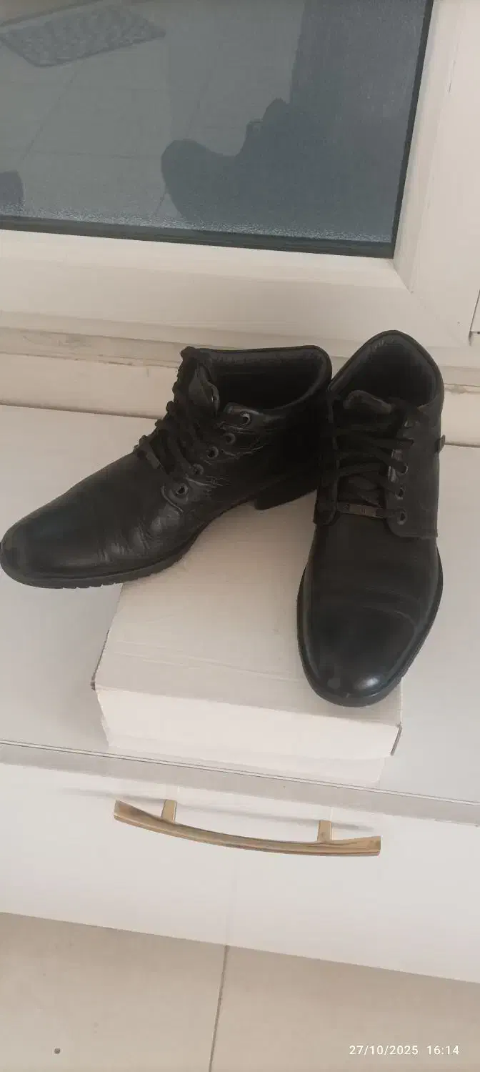 کفش مردنه|کیف، کفش، کمربند|تبریز, |دیوار