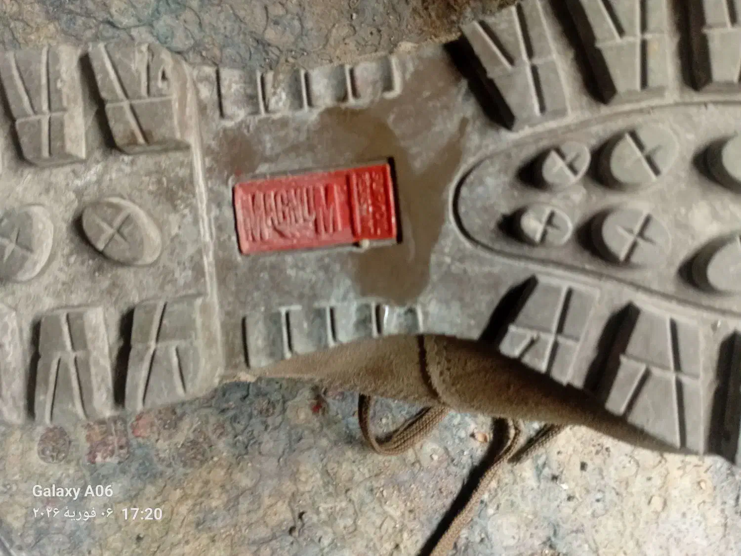 کفش کونوردی|کیف، کفش، کمربند|شیراز, دست خضر|دیوار