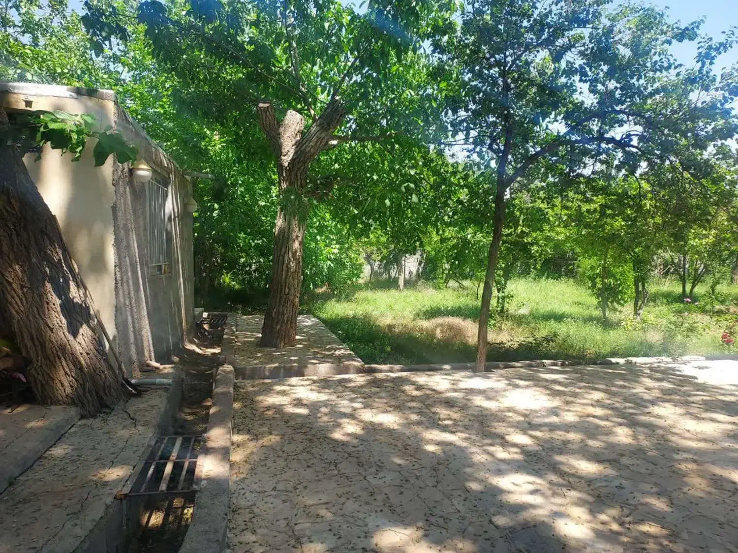 باغ|فروش خانه و ویلا|نطنز, |دیوار