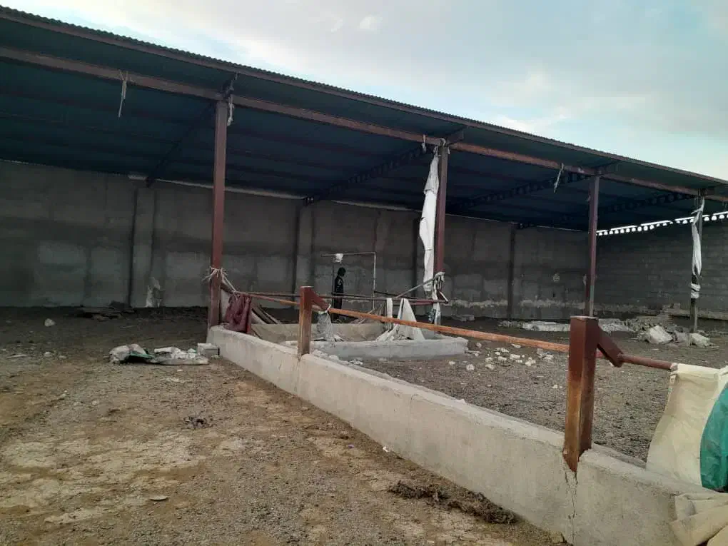 گاو داری متراژ ۲هزار متر|اجارهٔ دفتر صنعتی، کشاورزی، تجاری|رضویه, |دیوار