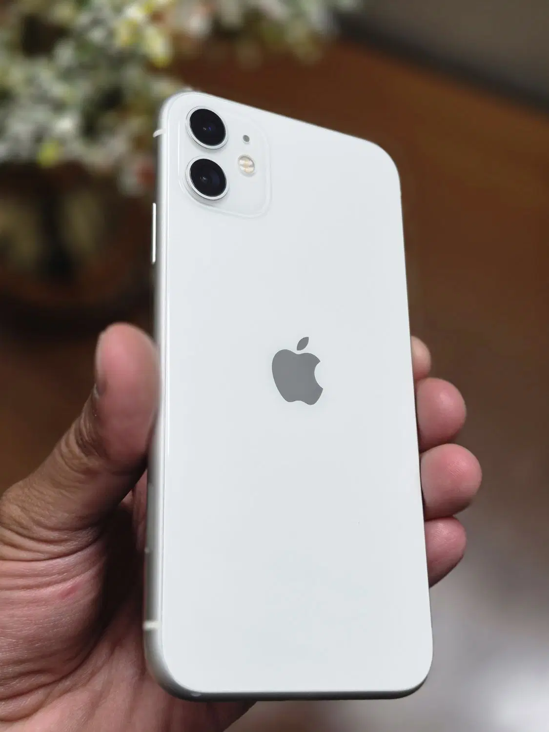 iphone 11 Normal|موبایل|اراک, |دیوار
