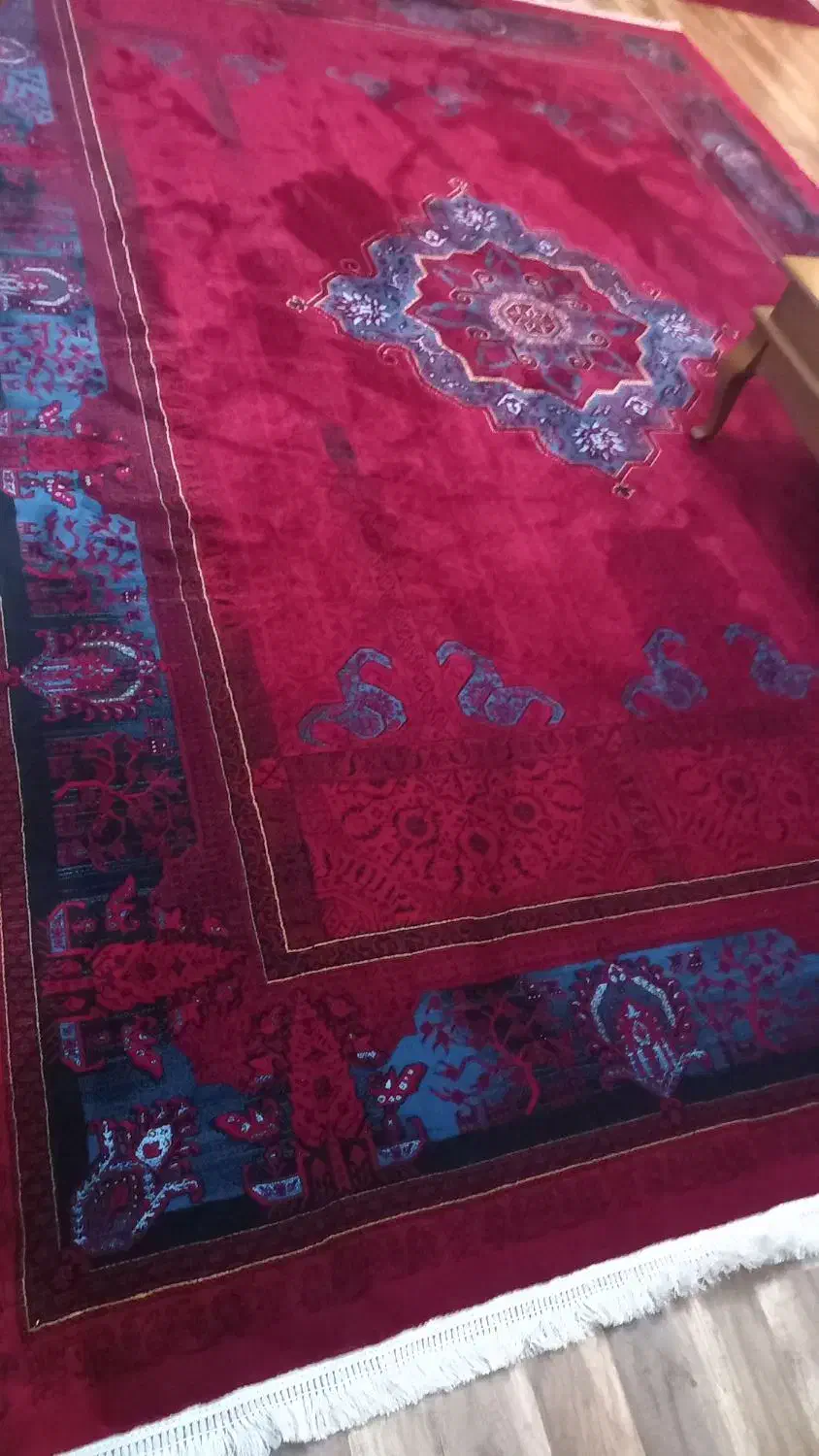 فرش نو و تمیز|فرش|صومعهسرا, |دیوار