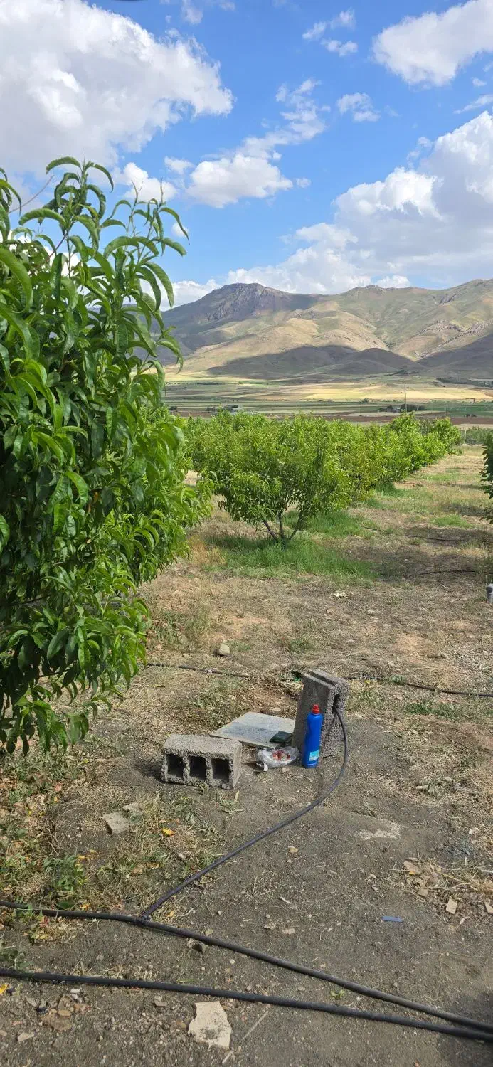 باغ موچش|فروش زمین و ملک کلنگی|موچش, |دیوار