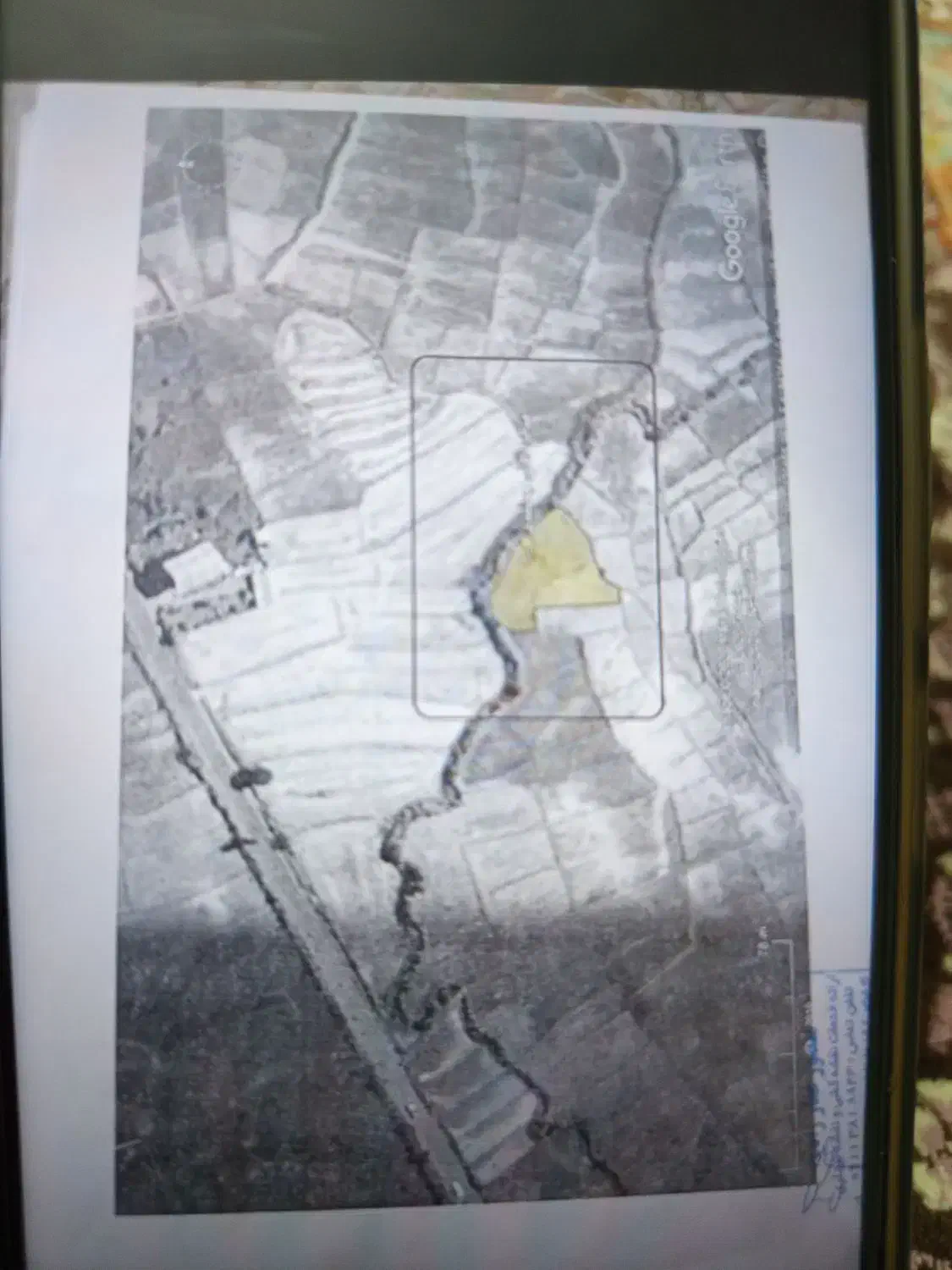 زمین کشاورزی|فروش دفتر صنعتی، کشاورزی، تجاری|تالش, هشتپر|دیوار