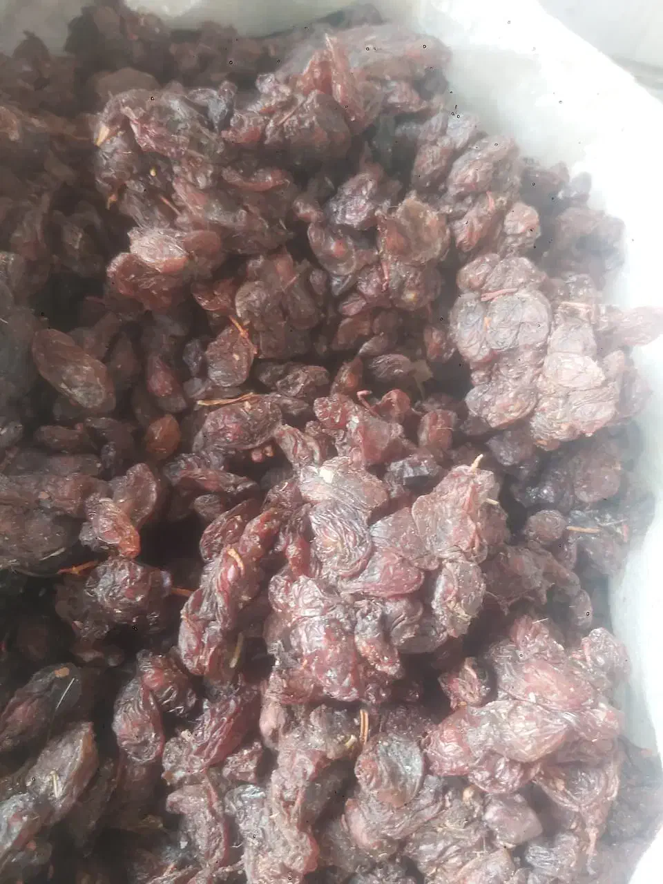 کشمش افتابی سایه خشک مویز شیراز شیره انگور شیرخرما|خوردنی و آشامیدنی|تهران, میدان میوه و ترهبار مرکزی|دیوار