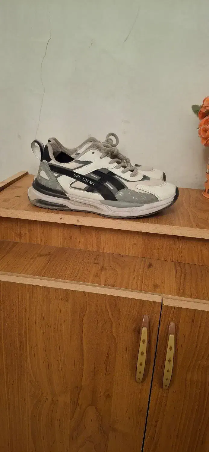 کتونی|کیف، کفش، کمربند|بجنورد, |دیوار