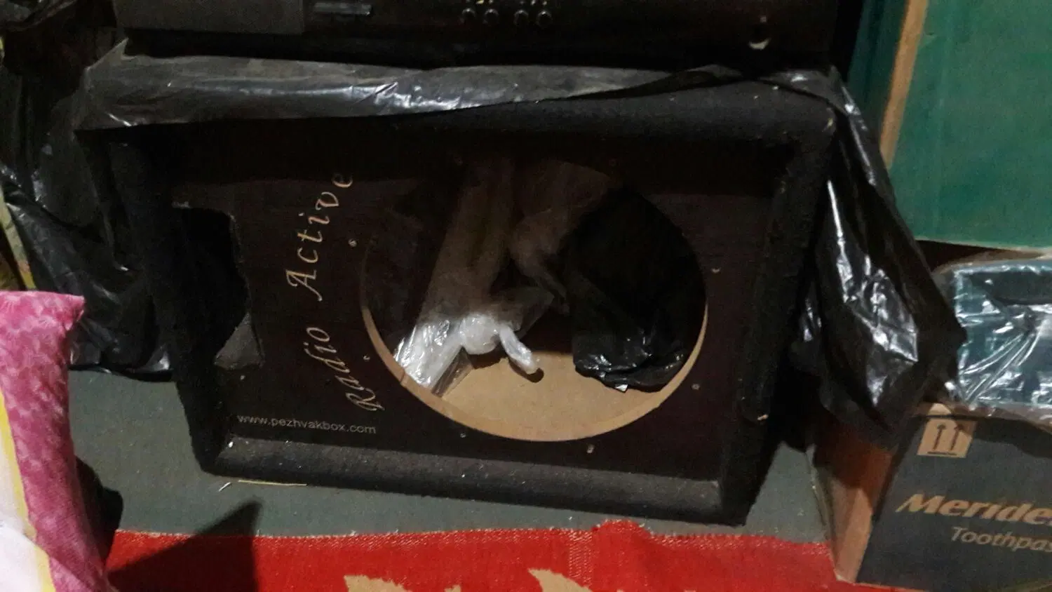 ساب|صوتی و تصویری|نهاوند, |دیوار