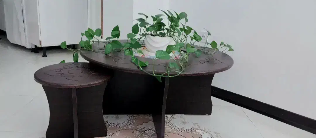 جلومبلیباچهارتامیزعسلی|مبلمان خانگی و میز عسلی|گلستان (تهران), |دیوار