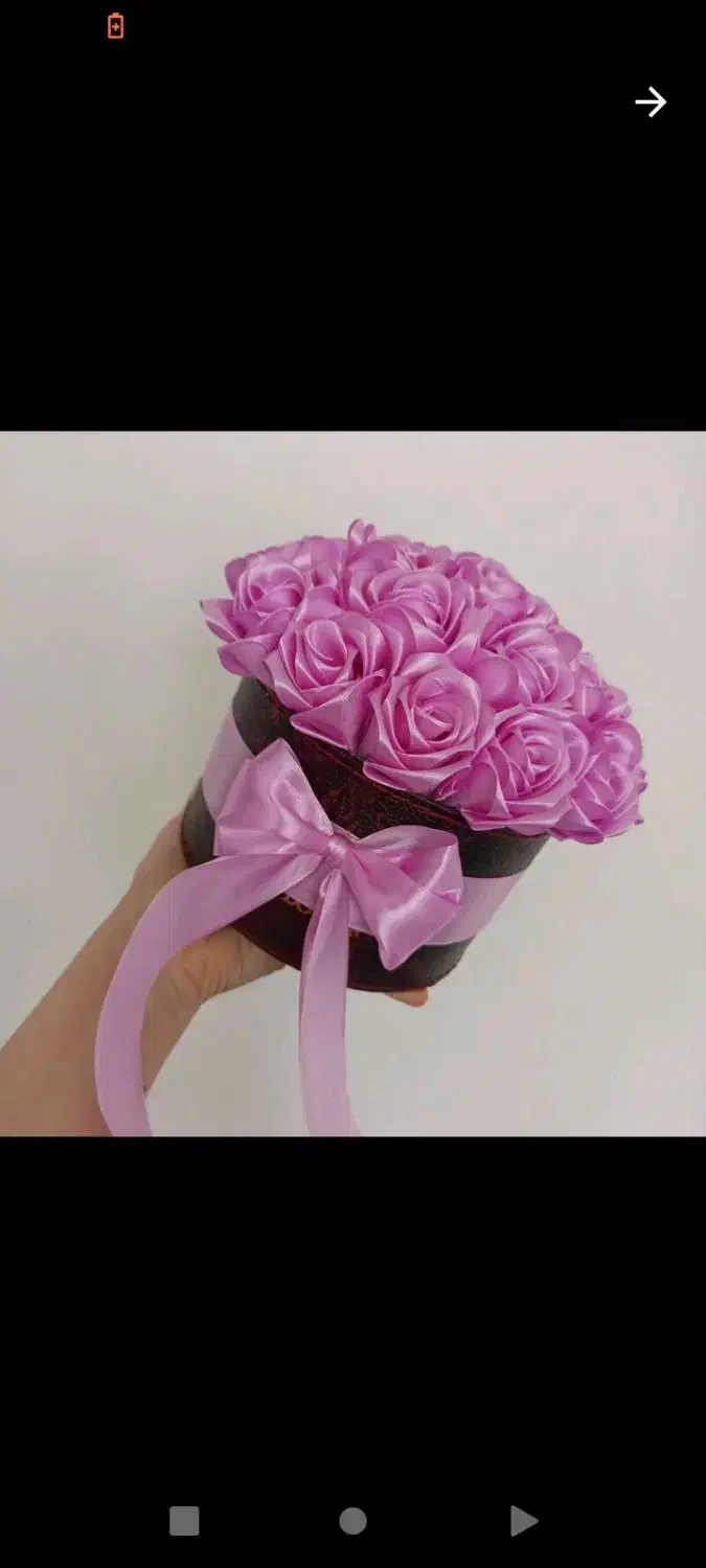 گل....|گل و گیاه طبیعی|بندر گناوه, |دیوار