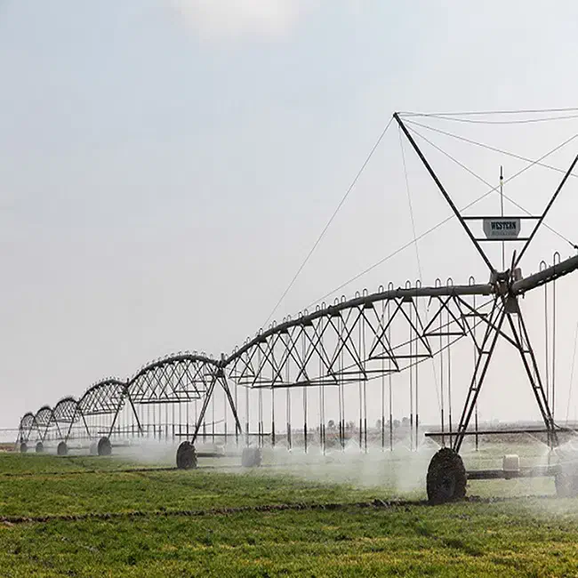 فروش رتبه 5 آب اعتبار 2 سال شهرستان نیلگون پندار|خدمات مالی، حسابداری، بیمه|ایذه, |دیوار