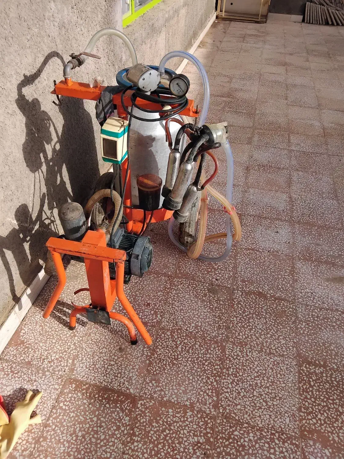 شیر دوش گاوی|لوازم جانبی حیوانات|اسفراین, |دیوار