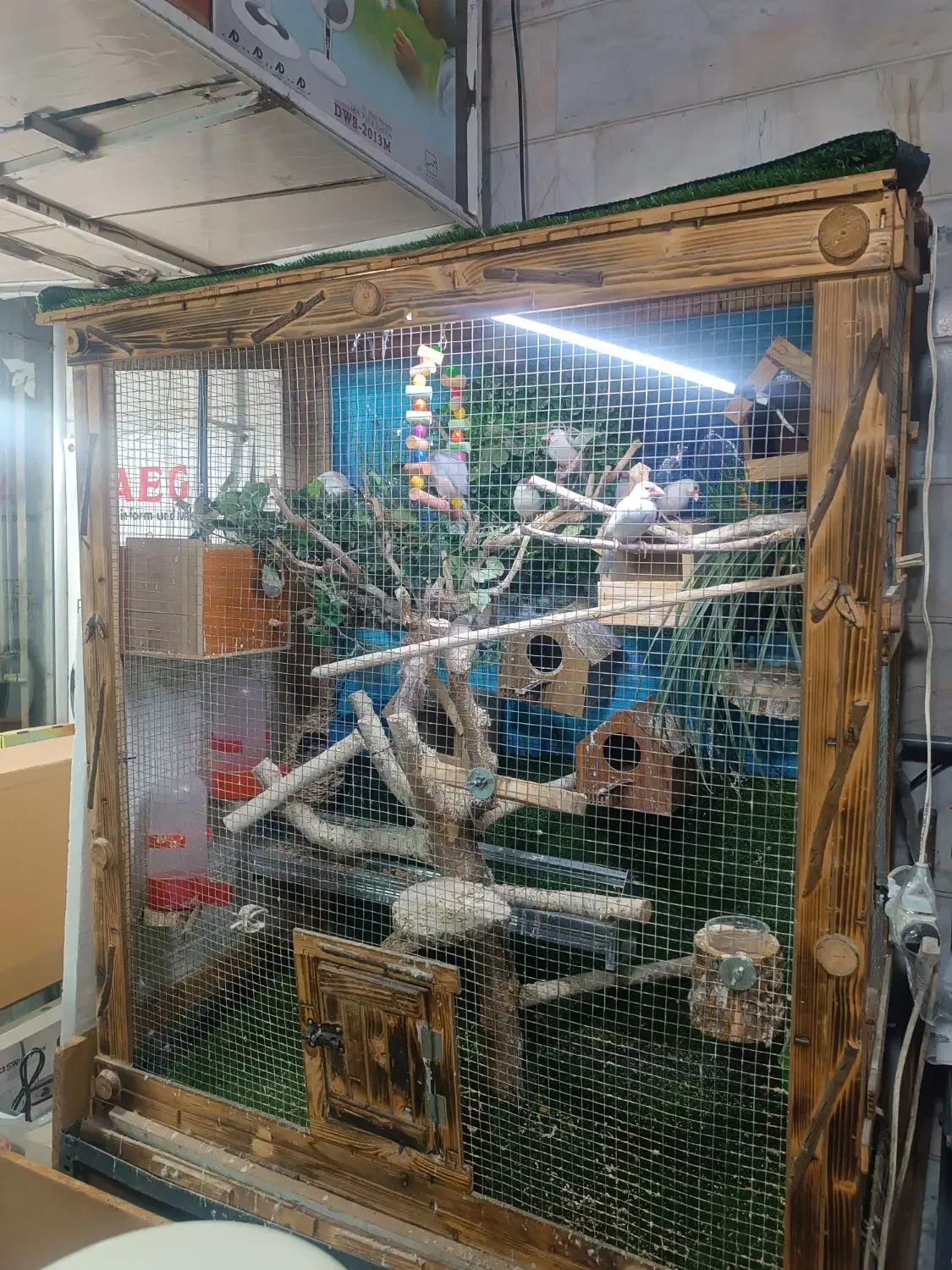 قفس پرنده چوبی|پرنده|تهران, یاخجی آباد|دیوار