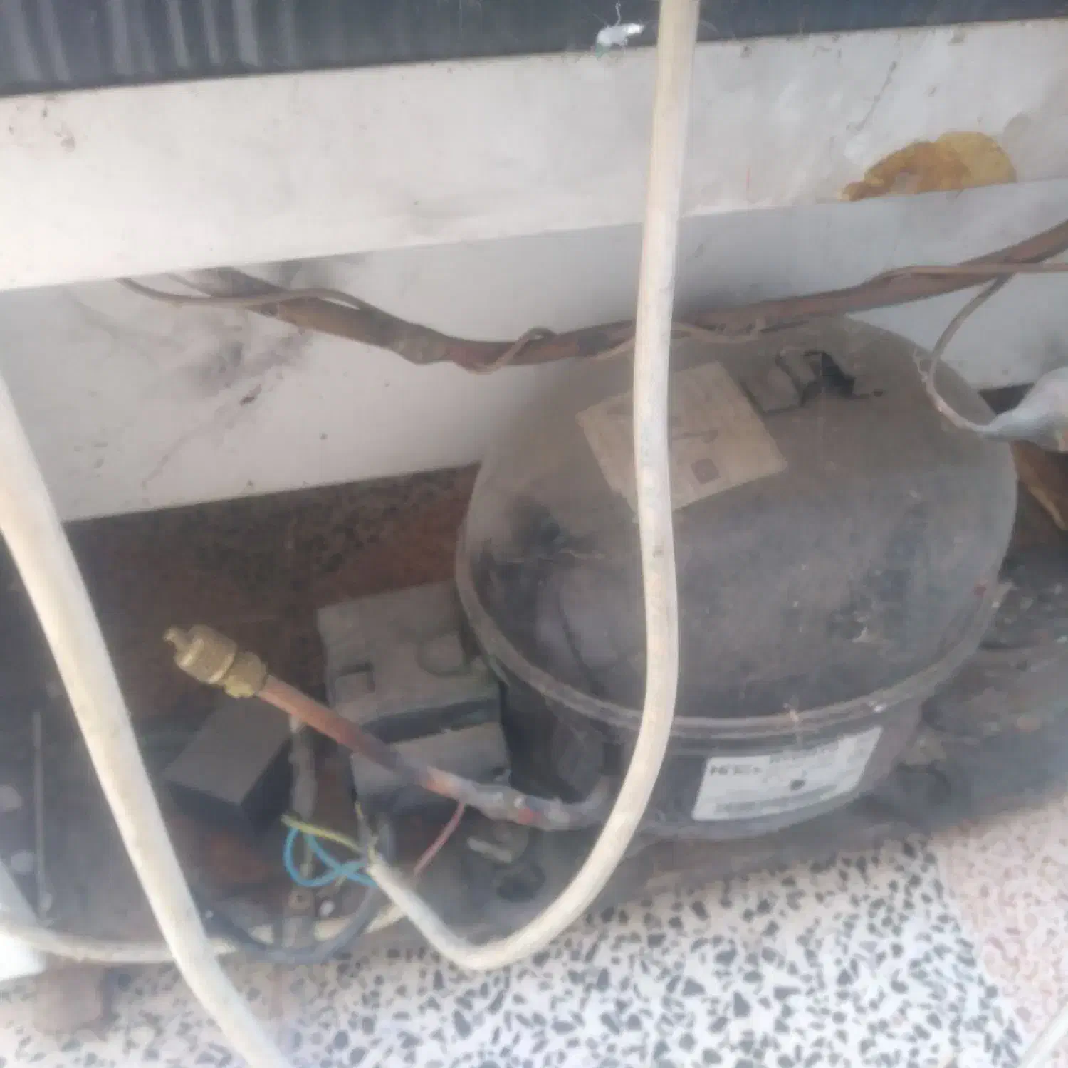 فریزر|یخچال و فریزر|بم, |دیوار