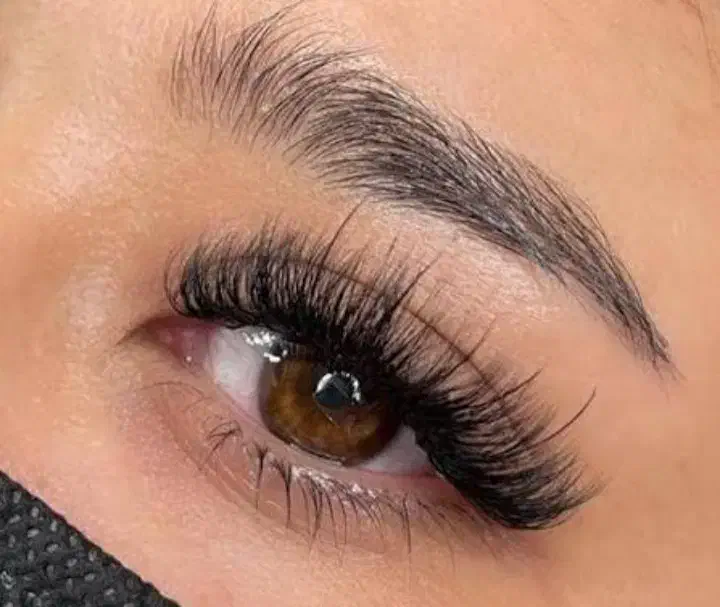 مژه|آرایشگاه و سالن‌های زیبایی|سبزوار, گلشن|دیوار