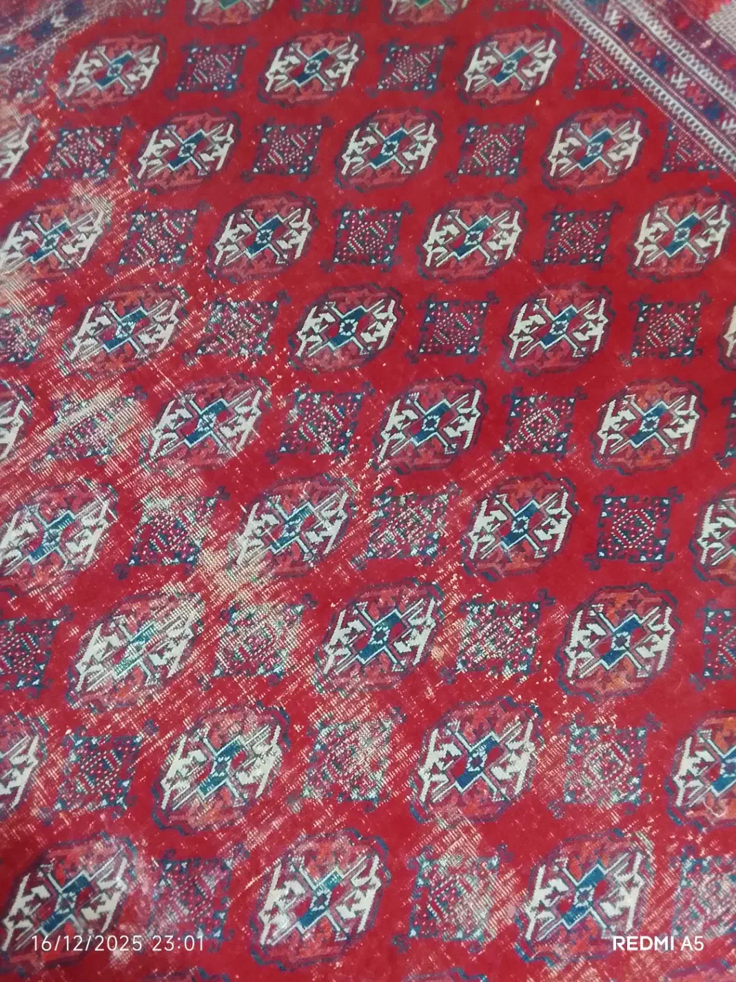 فرش دستباف ترکمنی|فرش|مینودشت, |دیوار