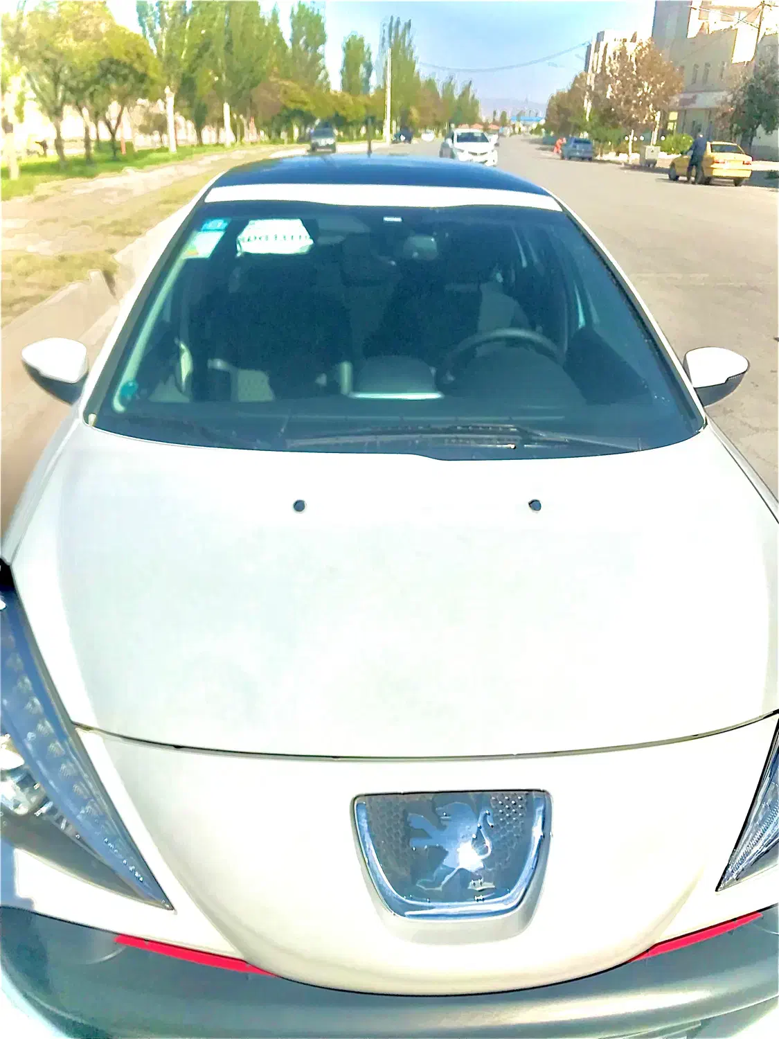 ۲۰۷ پاناروما ارتقا یافته|خودرو سواری و وانت|اردبیل, |دیوار