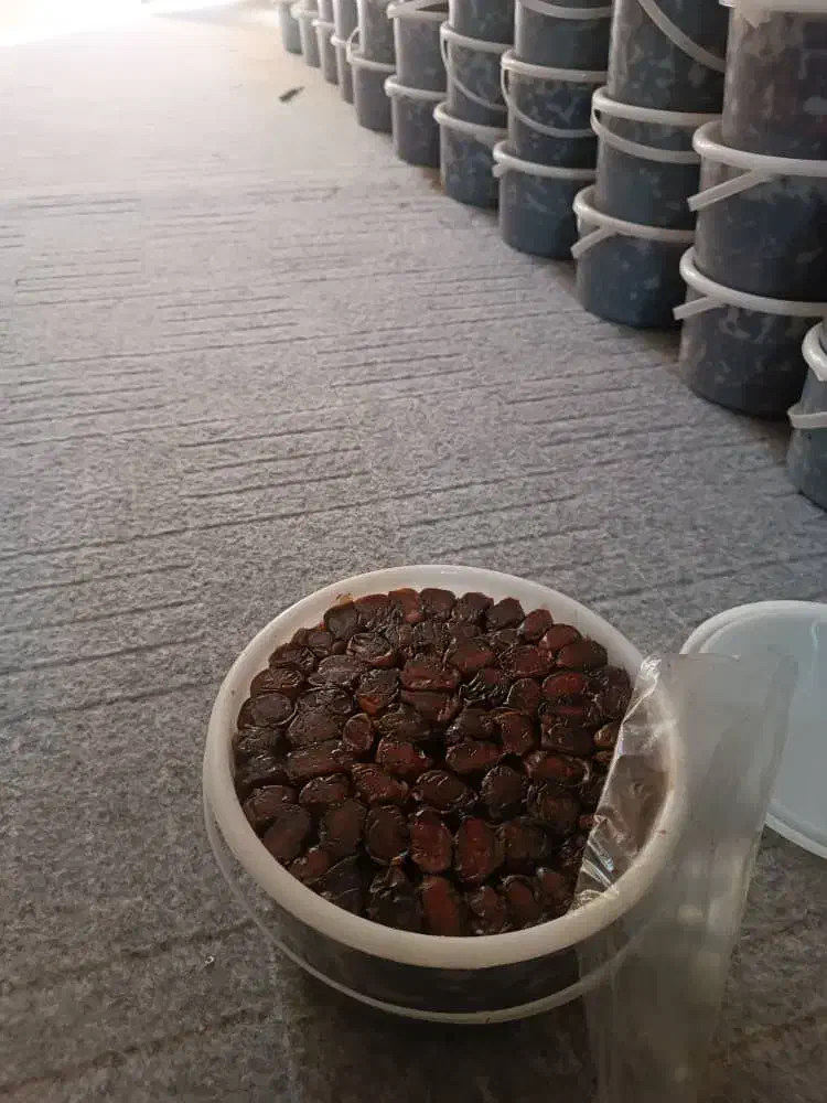 خرما کبکاب و خاصویی بهبهان عمده و جزعی|خوردنی و آشامیدنی|شاهینشهر, بوستان حافظ|دیوار