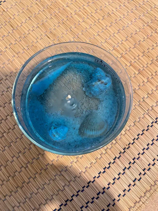 شمع دریایی|صنایع دستی و سایر لوازم تزئینی|کرج, شهرک صدف|دیوار