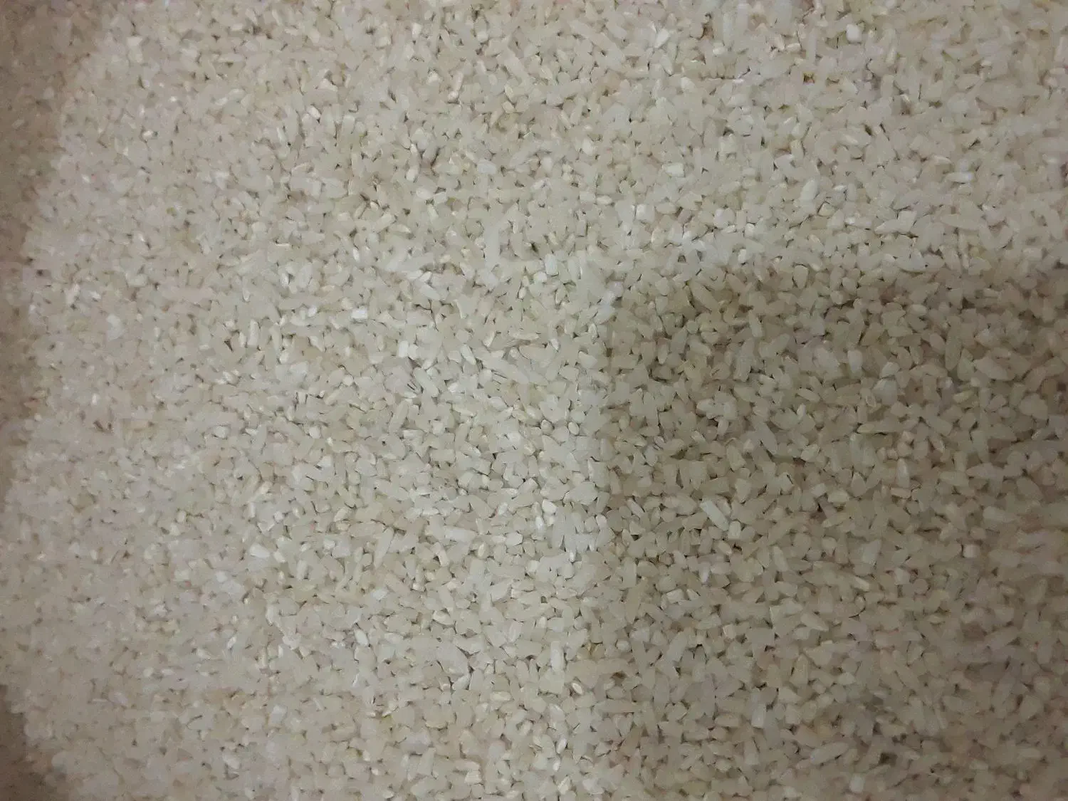 برنج نیم دانه علی کاظمی|خوردنی و آشامیدنی|رشت, پل تالشان|دیوار