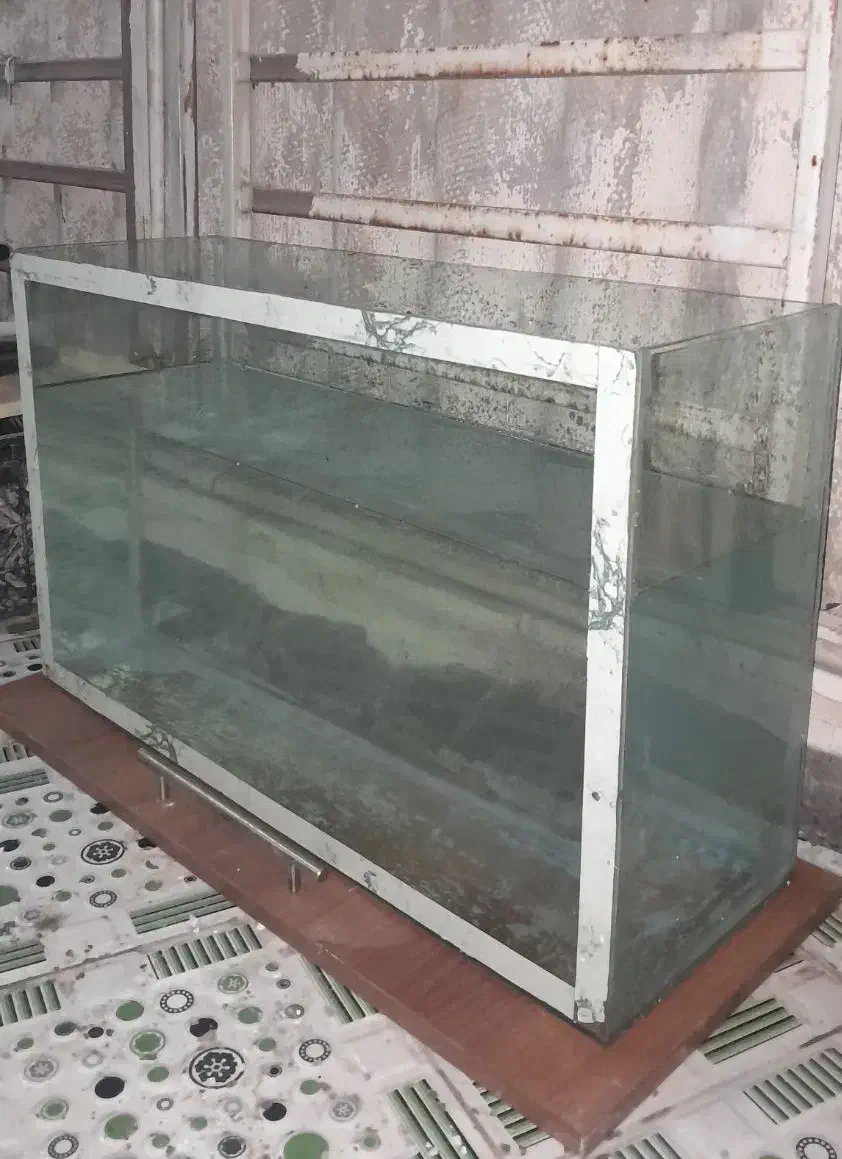 آکواریوم|ماهی|خرمشهر, |دیوار