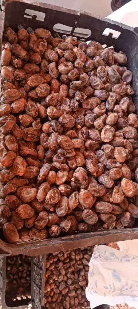 خرما گنطار|خوردنی و آشامیدنی|اهواز, منازل کارون|دیوار