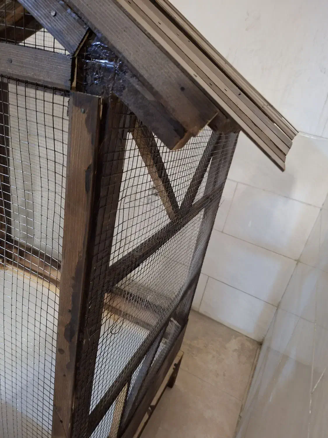 قفس|لوازم جانبی حیوانات|فولادشهر, C3|دیوار