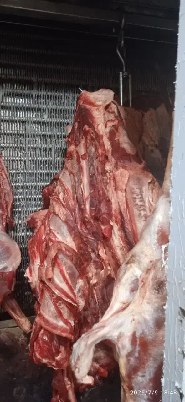 گو.شت خو.رشتی|خوردنی و آشامیدنی|کرج, آتشگاه|دیوار