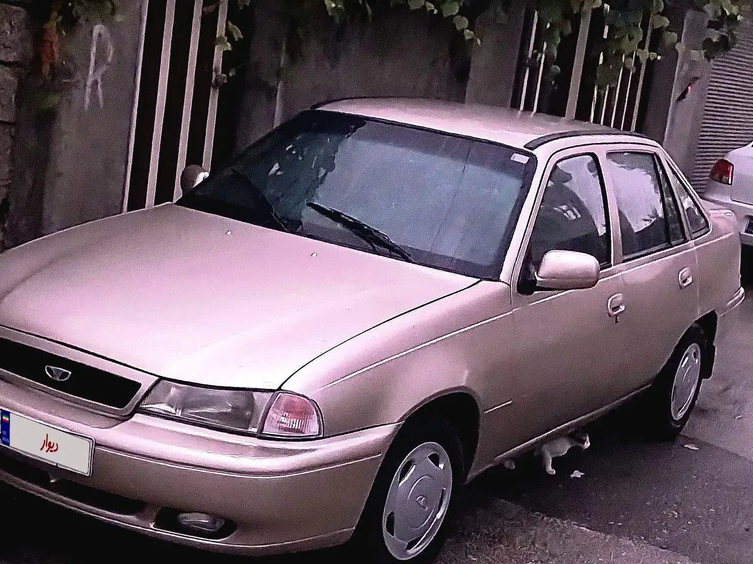 فروش فوری ماشین دوو سیلو|خودرو سواری و وانت|چالوس, |دیوار