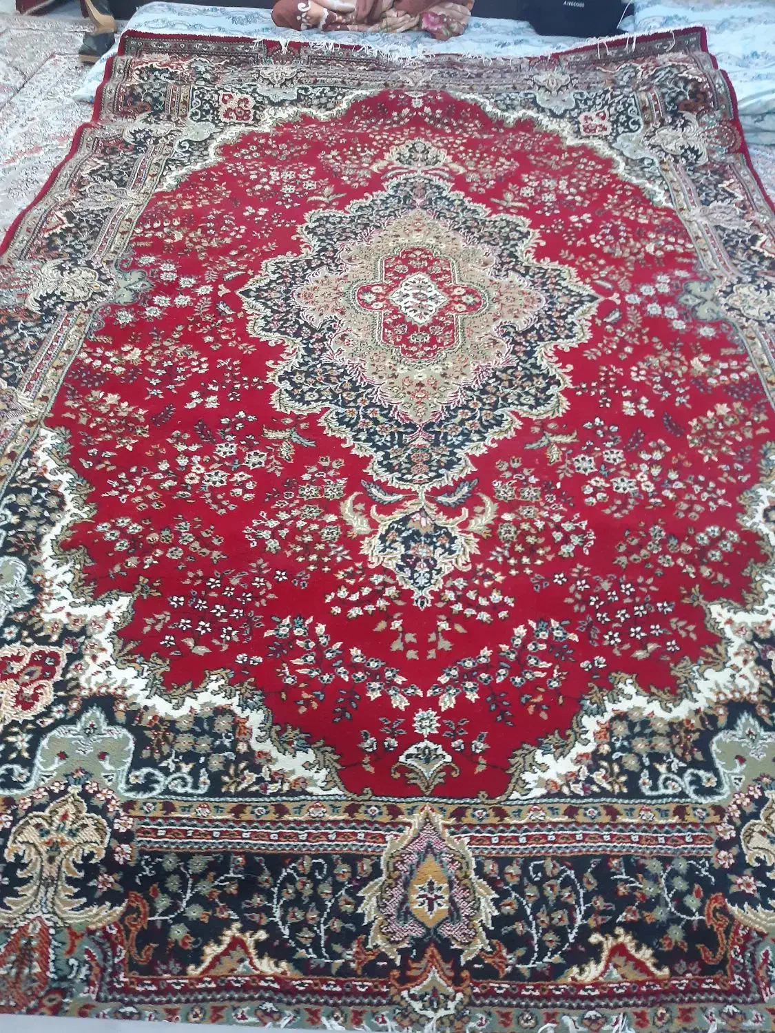 قالی ۶ متری لاکی|فرش|مشهد, موسوی قوچانی|دیوار