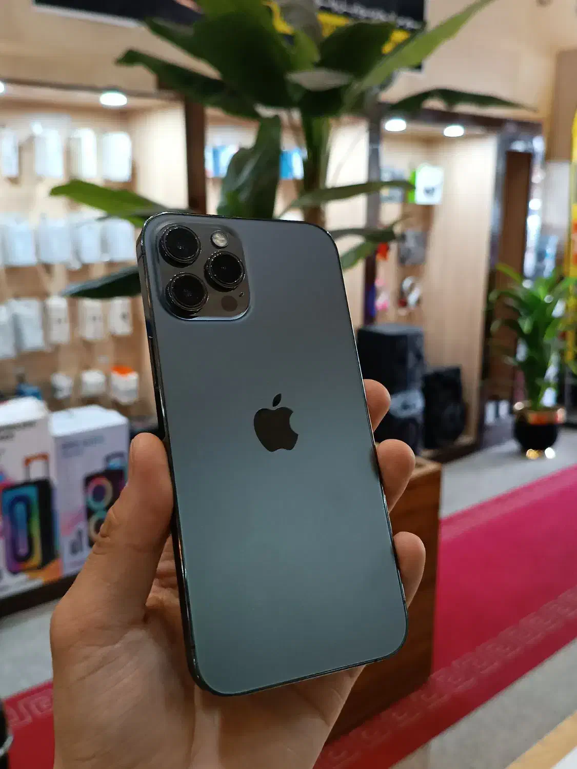 iphone12 promax|موبایل|یزد, |دیوار