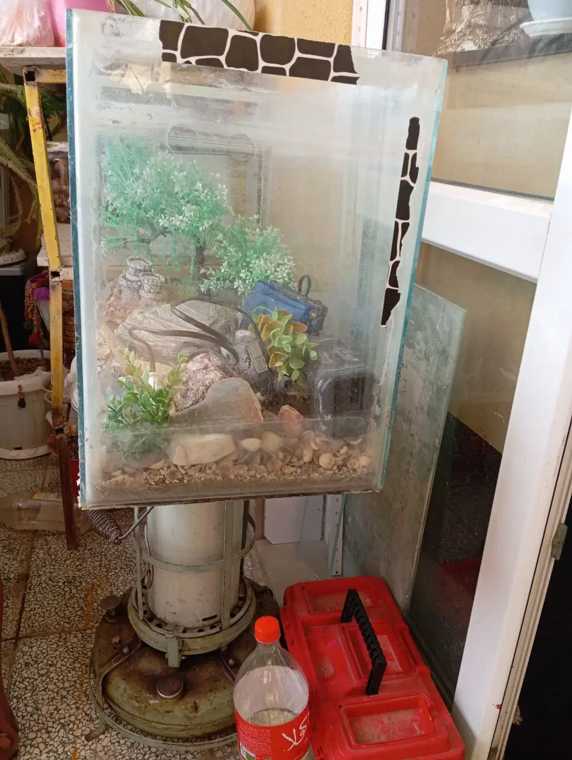 آکواریوم ماهی شیشهای|ماهی|گلبهار, شهر جدید گلبهار|دیوار