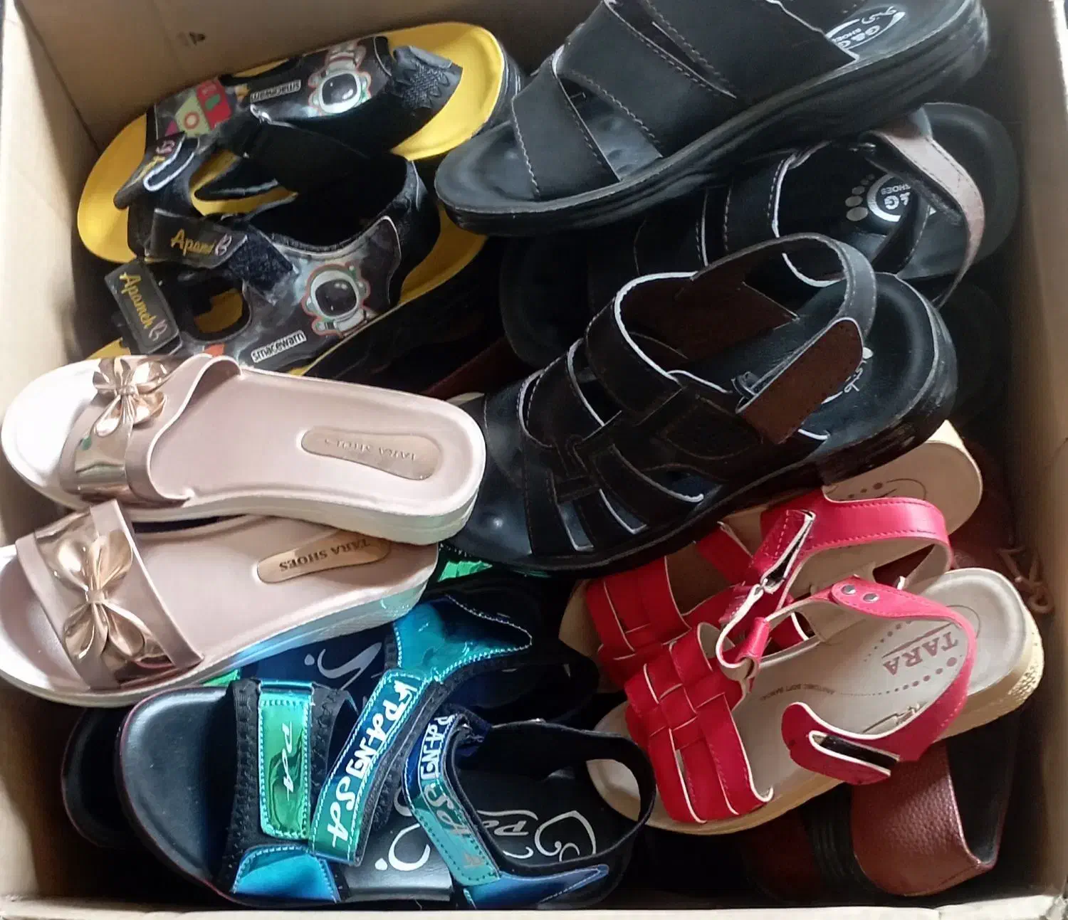 کفش|کیف، کفش، کمربند|بم, |دیوار