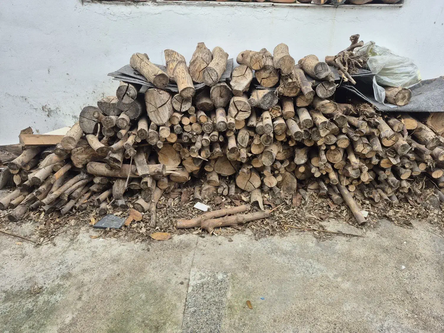 هیزم مرکبات باکیفیت عالی|کوهنوردی و کمپینگ|آمل, |دیوار