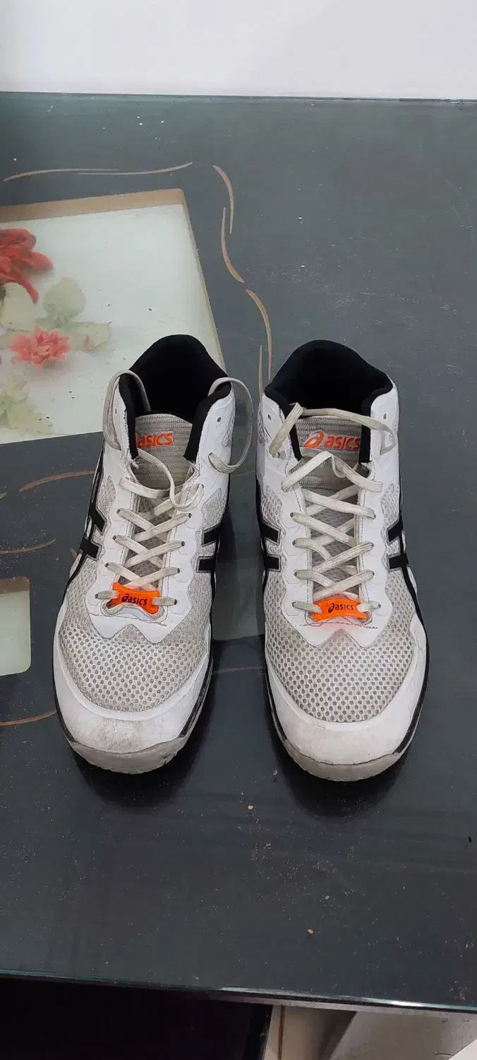 کتونی والیبال اسیکس دخترونه|تجهیزات ورزشی|ساری, |دیوار