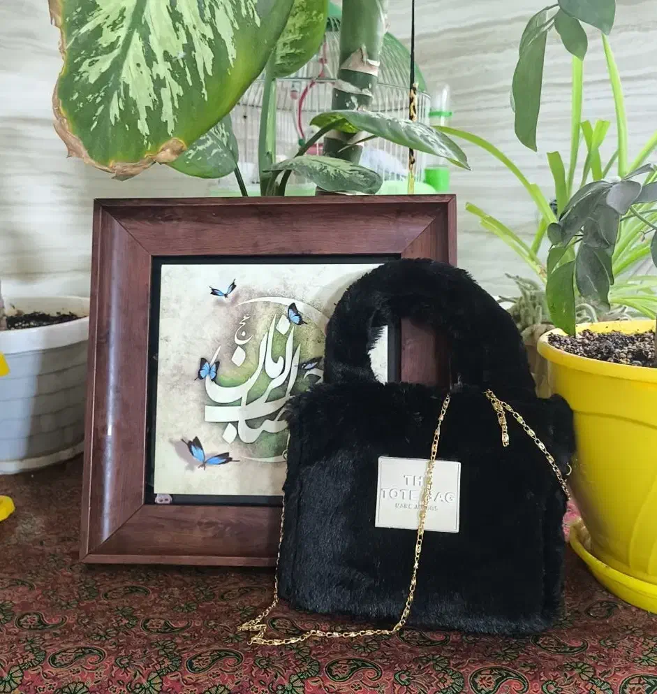 کیف مجلسی نونو|کیف، کفش، کمربند|قم, باغ کرباسی|دیوار