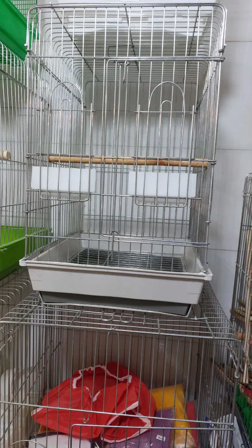 قفس و دان پرندگان زینتی|لوازم جانبی حیوانات|زنجان, |دیوار